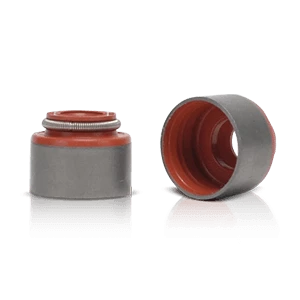 Valve Seals